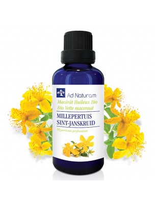 Image de Millepertuis Bio - Macérât Huileux d'Hypericum perforatum L. 50 ml - Ad Naturam depuis PrestaBlog