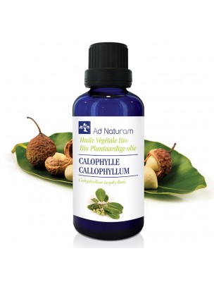 Image de Calophylle Bio - Huile Végétale de Calophyllum inophyllum 50 ml - Ad Naturam depuis PrestaBlog