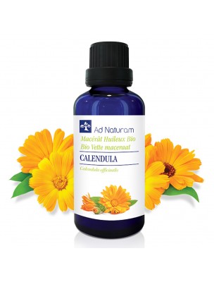 Image 77366 supplémentaire pour Calendula Bio - Macérât Huileux de Calendula officinalis 50 ml - Ad Naturam