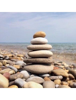 Image 77380 supplémentaire pour LAPHT 076 Bio - Calme et Sérénité 30 ml - Phytofrance