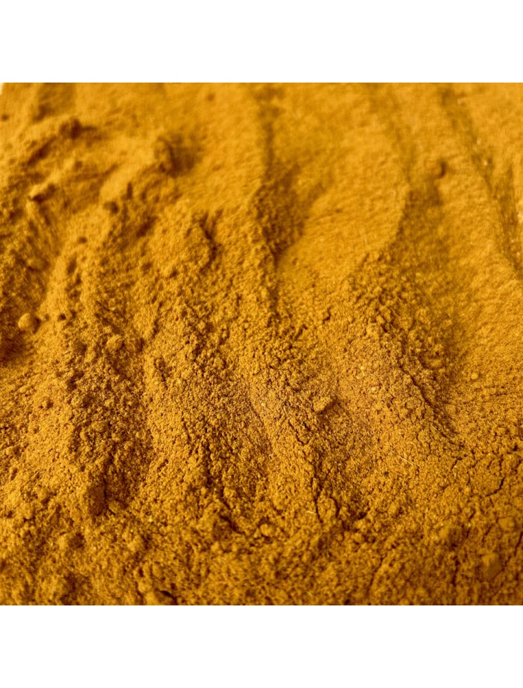 Image principale de la modale pour Préparation pour Lait d'Or Bio - Mélange de Plantes Ayurvédiques 100g
