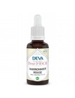 Image de Marronnier rouge Bio - Sérénité envers autrui Élixir Floral de Bach 30 ml - Deva depuis Fleurs de Bach naturelles pour votre bien-être | Boutique en ligne (7)