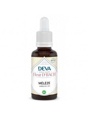 Image de Mélèze Bio - Confiance en soi Élixir Floral de Bach 30 ml - Deva depuis Achetez les produits Deva à l'herboristerie Louis (4)