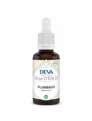 Image de Plumbago Bio - Confiance en soi et Intuition Élixir Floral de Bach 30 ml - Deva depuis Achetez les produits Deva à l'herboristerie Louis (5)