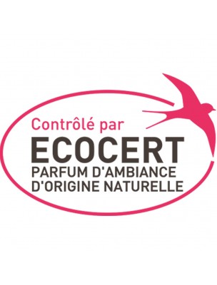 Image 77925 supplémentaire pour Spray d'Ambiance Réconfortant Bio - Rituel Sérénité (Vata) 30 ml - Herbes et Traditions