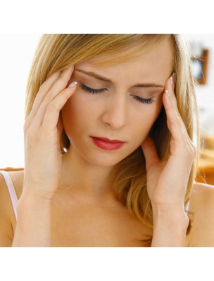 Image 77942 supplémentaire pour C.I.P. Mémoire Concentration Bio - Fonctions Cognitives 20 ampoules - Dietaroma