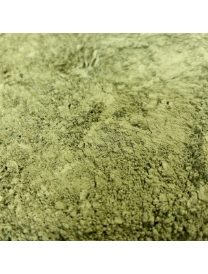 Image de Henné noir (Indigotier) - Feuilles poudre 100g - Tisane d'Indigofera tinctoria depuis louis-herboristerie
