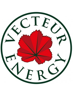 Image 78028 supplémentaire pour Aubépine Sans Alcool Bio - Phytospagyrie de plante fraîche 300 ml - Vecteur Energy