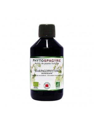 Image 78045 supplémentaire pour Harpagophytum Sans Alcool Bio - Phytospagyrie de plante fraîche 300 ml - Vecteur Energy