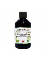 Image de Harpagophytum Sans Alcool Bio - Phytospagyrie de plante fraîche 300 ml - Vecteur Energy depuis Phytospagyrie - extraits de plantes unitaires