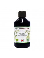 Image de Pissenlit Sans Alcool Bio - Phytospagyrie de plante fraîche 300 ml - Vecteur Energy depuis Phytospagyrie - extraits de plantes unitaires
