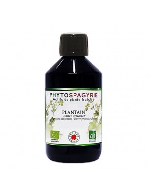 Image 78068 supplémentaire pour Plantain Sans Alcool Bio - Phytospagyrie de plante fraîche 300 ml - Vecteur Energy