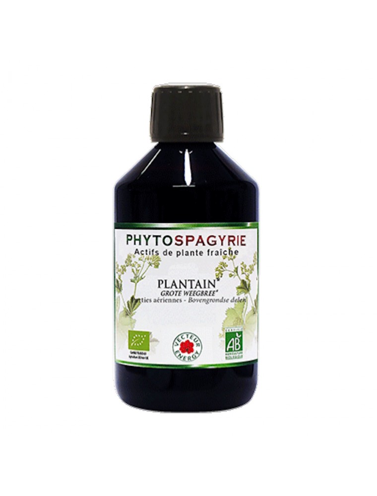 Image principale de la modale pour Plantain Sans Alcool Bio - Phytospagyrie de plante fraîche 300 ml - Vecteur Energy