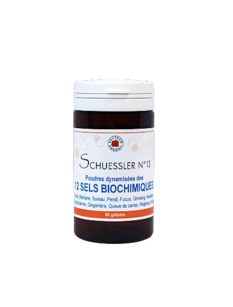 Image principale de la modale pour Mélange de 12 Sels de Schuessler - Vitalité 60 gélules - Vecteur Energy