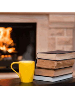 Image 78177 supplémentaire pour Tisanière Sorcière de Profil 3 Pièces en Porcelaine 300 ml