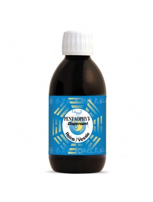 Image de Pentaophyt Dispersant Bio - Reins et Vessie 250 ml - Phytofrance depuis Achetez les nouvelles tisanes arrivées à l'herboristerie Louis