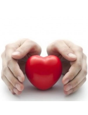 Image 78267 supplémentaire pour Pentaophyt Régulateur Bio - Triple Réchauffeur 250 ml - Phytofrance