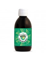 Image de Pentaophyt Régulateur Bio - Triple Réchauffeur 250 ml - Phytofrance depuis Médecine Traditionnelle Chinoise (MTC) – Plantes & Compléments