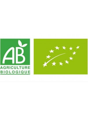 Image 78304 supplémentaire pour Pêche Mangue Bio - Infusions à Froid 15 sachets - Yogi