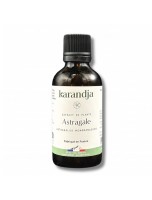 Image de Astragale Bio - Teinture-Mère d'Astragalus membranaceus 50 ml - Karandja depuis Herboristerie Louis - Produits de phytothérapie et d'herboristerie en ligne (13)