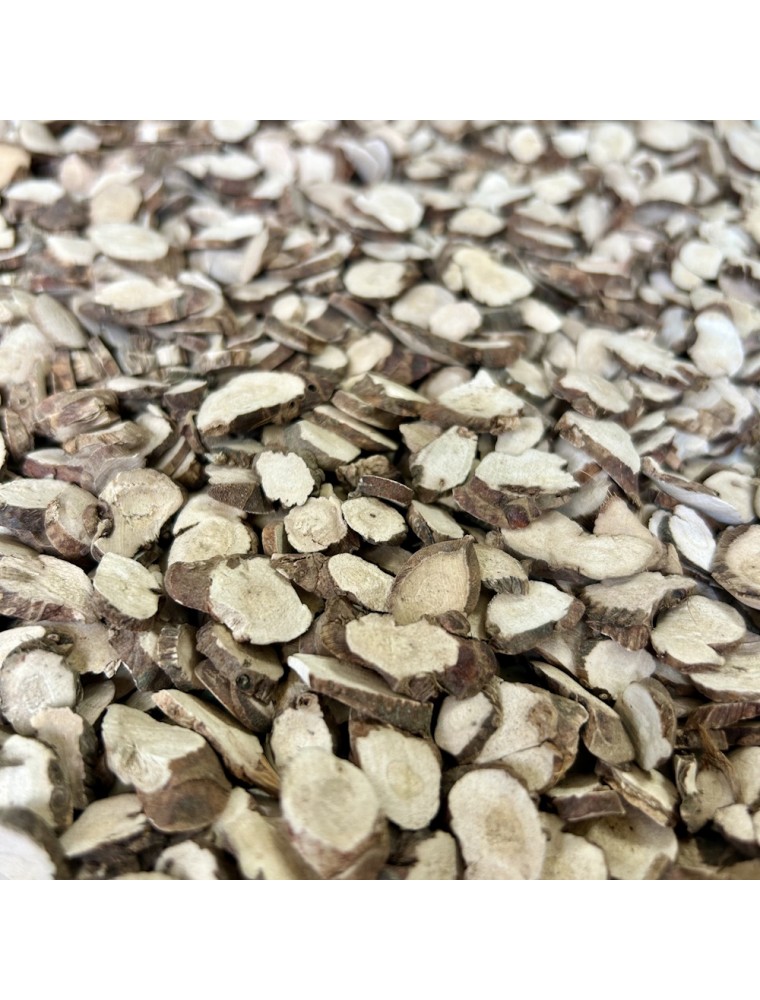 Image principale de la modale pour Acore odorant (Shi Chang Pu) - Rhizome coupé 100g - Tisane d'Acorus calamus var. americanus