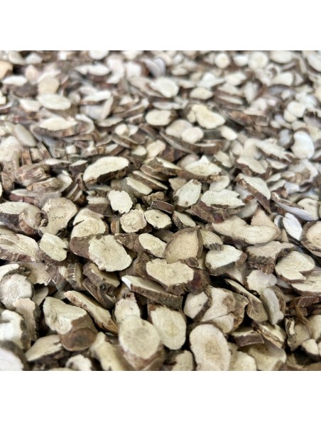 Acore odorant (Shi Chang Pu) - Rhizome coupé 100g - Tisane d'Acorus calamus var. americanus