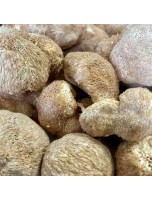 Image de Hydne hérisson  (Hou Tou Gu) - Morceaux coupés 100g - Tisane d'Hericium erinaceus depuis Achetez vos Tisanes en ligne (7)