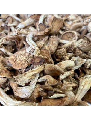 Image de Pleurote (Ping Gu) - Morceaux coupés 100g - Tisane de Pleurotus ostreatus depuis Achetez les produits Louis à l'herboristerie Louis (17)