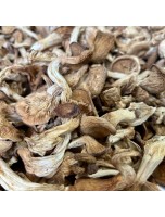 Image de Pleurote (Ping Gu) - Morceaux coupés 100g - Tisane de Pleurotus ostreatus depuis Achetez vos Tisanes en ligne (10)