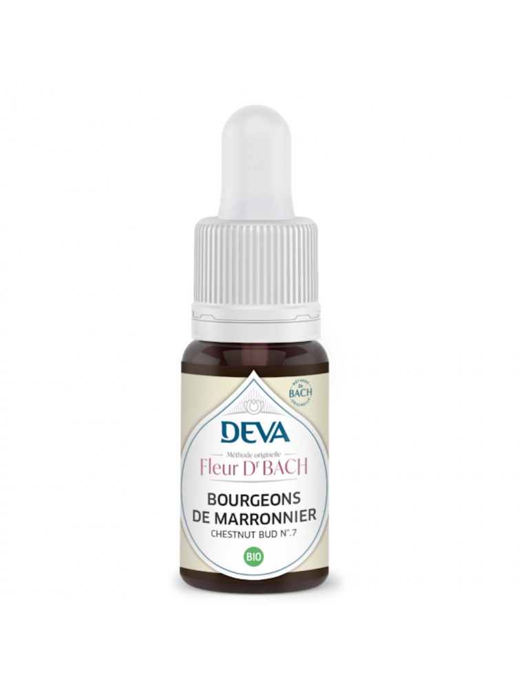 Image principale de la modale pour Bourgeons de marronnier Bio - Attention Elixir Floral de Bach 15 ml - Deva