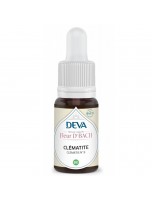 Image de Clématite Bio - Présence Élixir Floral de Bach 15 ml - Deva depuis Herboristerie Louis - Produits de phytothérapie et d'herboristerie en ligne (43)