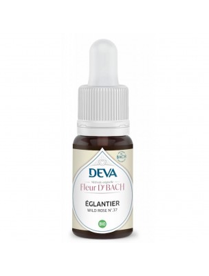 Image de Églantier Bio - Motivation et intérêt dans la vie Élixir Floral de Bach 15 ml - Deva depuis Achetez les produits Deva à l'herboristerie Louis (3)