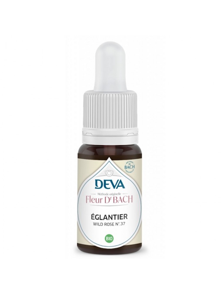 Image principale de la modale pour Églantier Bio - Motivation et intérêt dans la vie Élixir Floral de Bach 15 ml - Deva