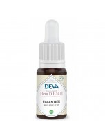 Image de Églantier Bio - Motivation et intérêt dans la vie Élixir Floral de Bach 15 ml - Deva depuis Herboristerie Louis - Produits de phytothérapie et d'herboristerie en ligne (61)