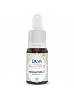 Image de Hélianthème Bio - Courage et Force morale Élixir Floral de Bach 15 ml - Deva depuis Herboristerie Louis - Produits de phytothérapie et d'herboristerie en ligne (86)