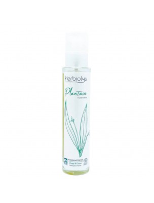 Image de Huile de Plantain Bio - Macération Démangeaisons 100 ml - Herbiolys depuis Achetez les nouvelles tisanes arrivées à l'herboristerie Louis
