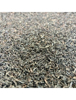 Image de Assam Bio - Thé Noir Nature d'Inde 100g depuis Achetez les nouvelles tisanes arrivées à l'herboristerie Louis