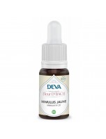 Image de Mimulus jaune Bio - Courage et Confiance Élixir Floral de Bach 15 ml - Deva depuis 38 Fleurs de Bach unitaires - Commandez en ligne ! (3)