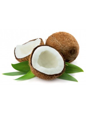 Image 7889 supplémentaire pour Huile de noix de coco vierge Bio - Soin de la peau et des cheveux 500 ml - Purasana