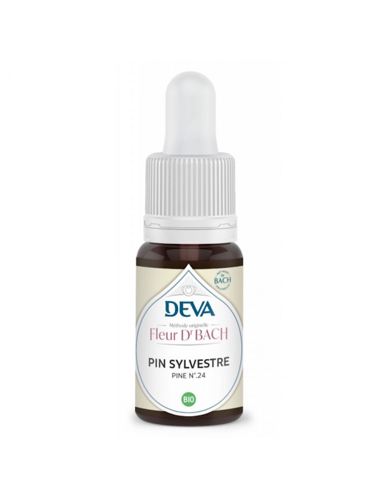 Image principale de la modale pour Pin sylvestre Bio - Repentir et Humilité Élixir Floral de Bach 15 ml - Deva