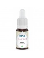Image de Saule Bio - Acceptation de ses responsabilités Élixir Floral de Bach 15 ml - Deva depuis 38 Fleurs de Bach unitaires - Commandez en ligne ! (4)