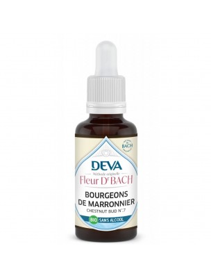 Image de Bourgeons de Marronnier Sans Alcool Bio - Attention Elixir Floral de Bach 30 ml - Deva depuis Achetez les produits Deva à l'herboristerie Louis