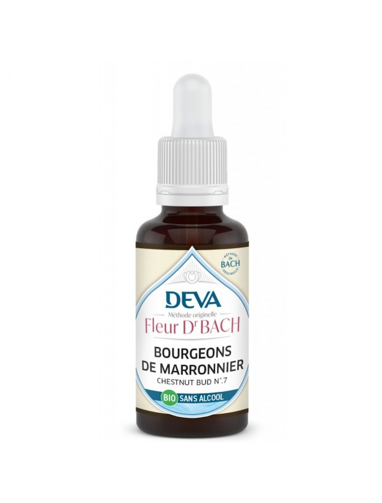 Image principale de la modale pour Bourgeons de Marronnier Sans Alcool Bio - Attention Elixir Floral de Bach 30 ml - Deva