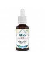 Image de Clématite Sans Alcool Bio - Présence Élixir Floral de Bach 30 ml - Deva depuis 38 Fleurs de Bach unitaires - Commandez en ligne ! (2)