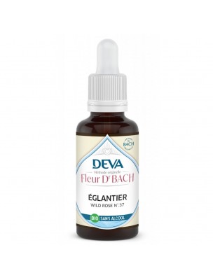 https://www.louis-herboristerie.com/78915-home_default/etoile-de-bethleem-sans-alcool-bio-paix-et-reconfort-elixir-floral-de-bach-30-ml-deva.jpg Image 78915 supplémentaire pour Étoile de Bethléem Sans Alcool Bio - Paix et Réconfort Élixir Floral de Bach 30 ml - Deva