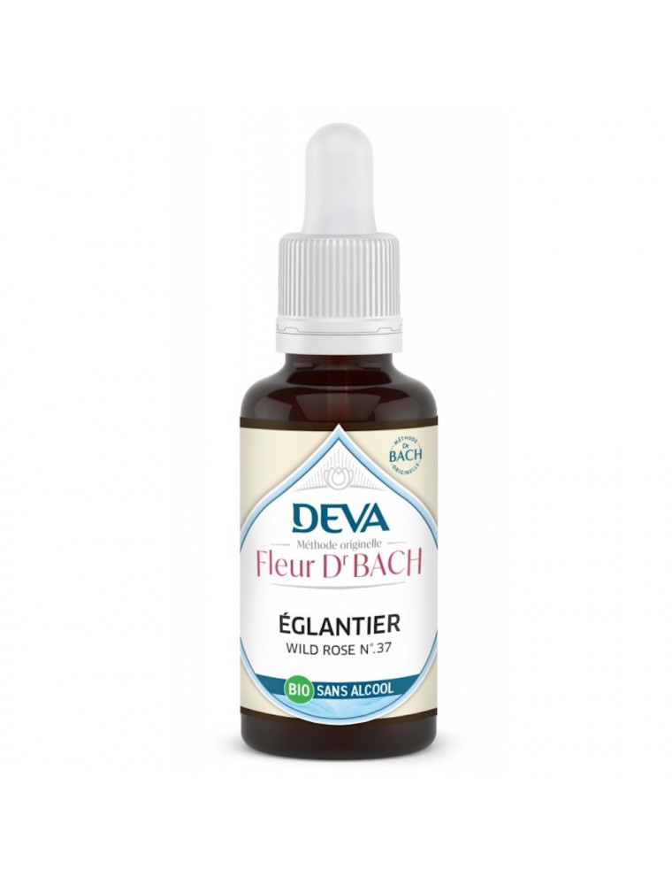 Image principale de la modale pour Étoile de Bethléem Sans Alcool Bio - Paix et Réconfort Élixir Floral de Bach 30 ml - Deva