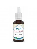Image de Étoile de Bethléem Sans Alcool Bio - Paix et Réconfort Élixir Floral de Bach 30 ml - Deva depuis 38 Fleurs de Bach unitaires - Commandez en ligne ! (2)