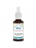 Image de Hélianthème Sans Alcool Bio - Courage et Force morale Élixir Floral de Bach 30 ml - Deva depuis 38 Fleurs de Bach unitaires - Commandez en ligne ! (2)