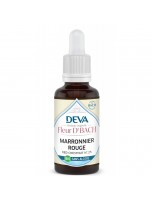 Image de Marronnier rouge Sans Alcool Bio - Sérénité envers autrui Élixir Floral de Bach 30 ml - Deva depuis 38 Fleurs de Bach unitaires - Commandez en ligne ! (3)