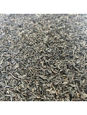 Image de Lapsang Bio - Thé Noir de Chine 100g depuis Commandez les produits Louis Bio à l'herboristerie Louis